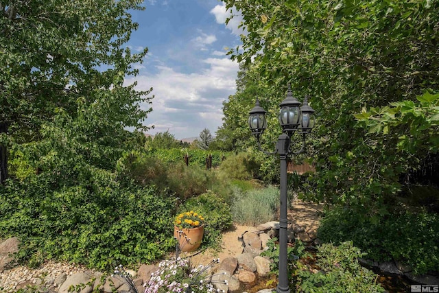 2032 Ash Canyon Rd, Carson City, NV 89703