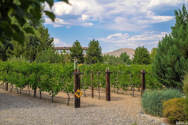 2032 Ash Canyon Rd, Carson City, NV 89703