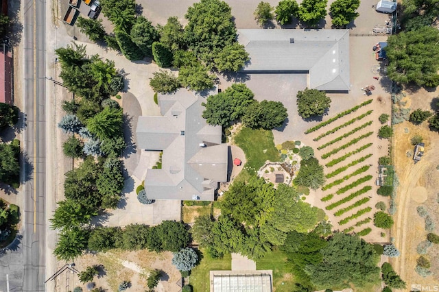 2032 Ash Canyon Rd, Carson City, NV 89703