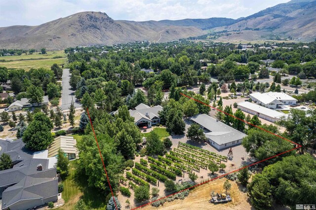 2032 Ash Canyon Rd, Carson City, NV 89703