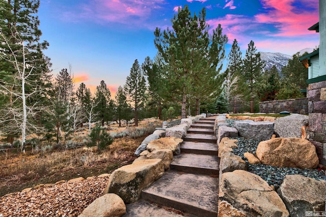 229 Five Creek Rd, Gardnerville, NV 89460