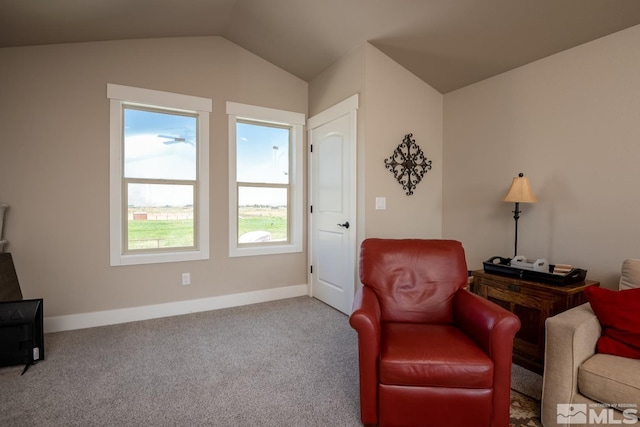 182 Artist View Rd, Wellington, NV 89444 - photo 32