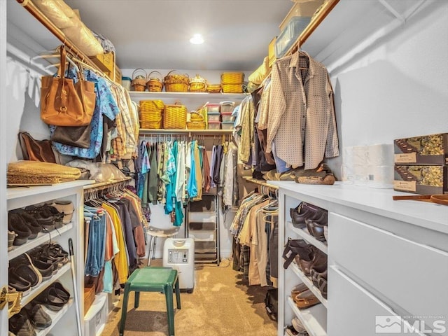 2034 Comstock Dr, Gardnerville, NV 89410