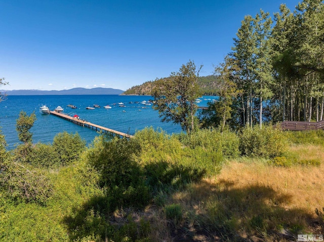 1951 Glenbrook Rd, Glenbrook, NV 89413 - photo 1