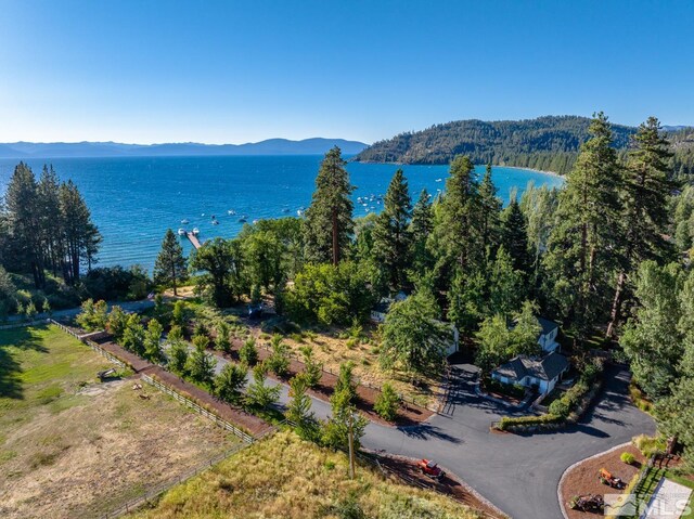 1951 Glenbrook Rd, Glenbrook, NV 89413 - photo 3
