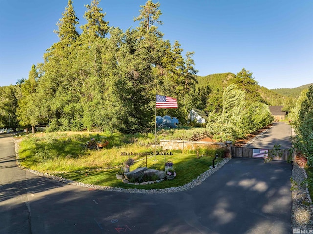 1951 Glenbrook Rd, Glenbrook, NV 89413 - photo 4