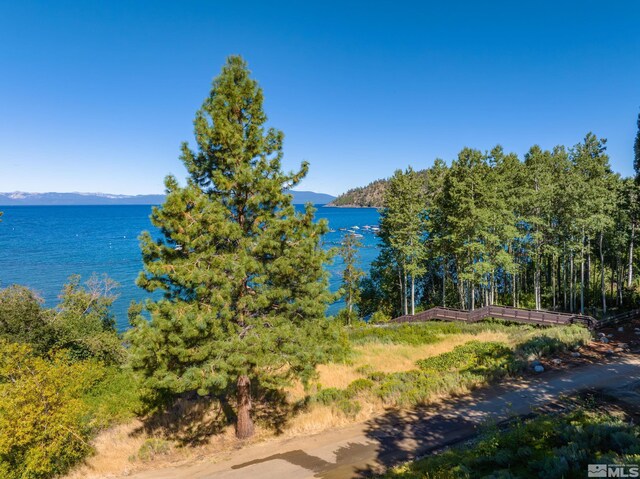 1951 Glenbrook Rd, Glenbrook, NV 89413 - photo 12
