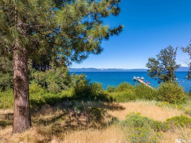 1951 Glenbrook Rd, Glenbrook, NV 89413 - photo 13