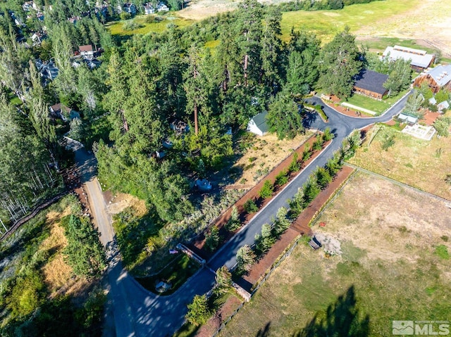 1951 Glenbrook Rd, Glenbrook, NV 89413 - photo 37