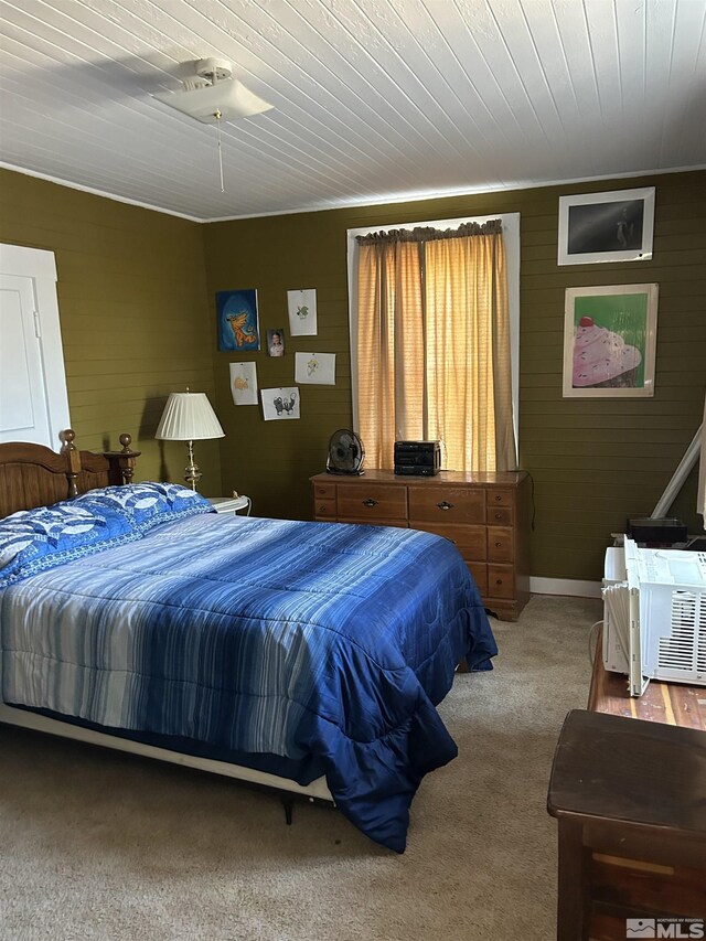 13200 Carson Hwy, Fallon, NV 89406