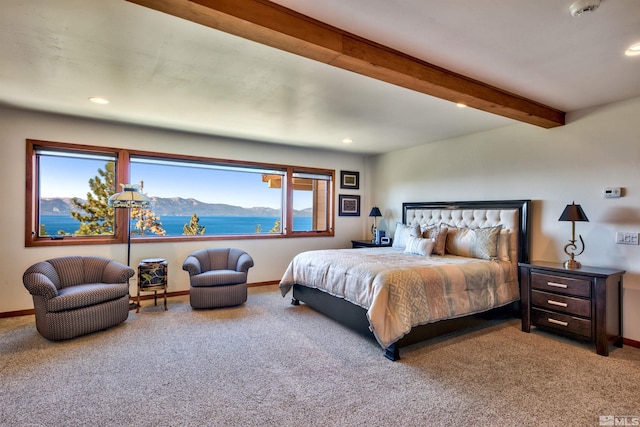 319 Pheasant Ln, Glenbrook, NV 89413