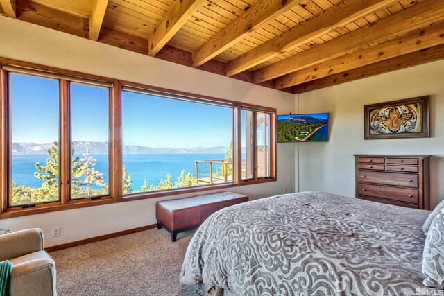 319 Pheasant Ln, Glenbrook, NV 89413