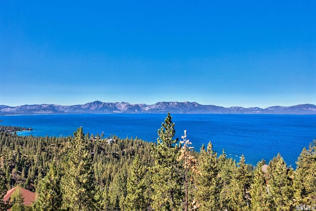 319 Pheasant Ln, Glenbrook, NV 89413