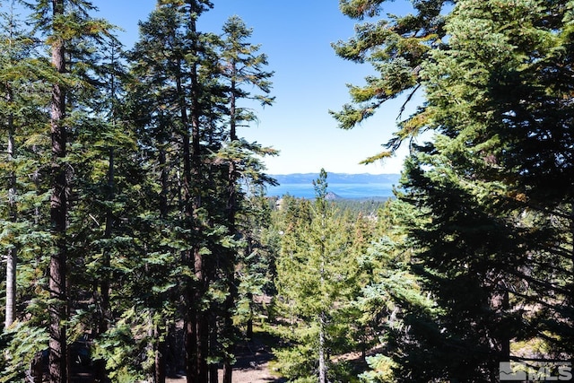 754 Milky Way Ct Unit B, Stateline, NV 89449