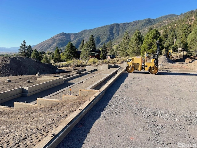 2480 Eagle Ridge Rd, Genoa, NV 89411