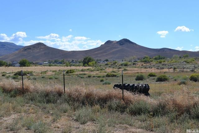 22 Long View Ln, Wellington, NV 89444 - photo 31