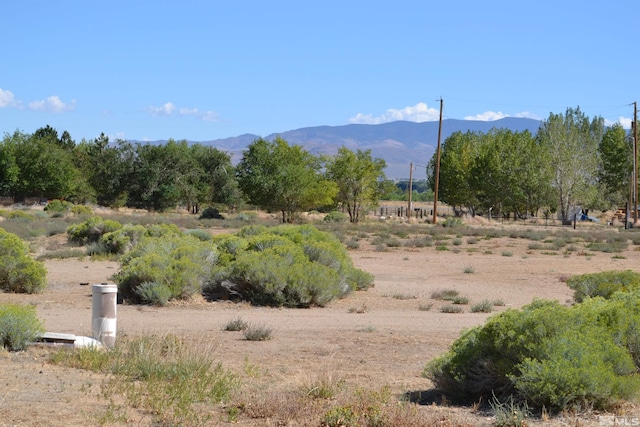 22 Long View Ln, Wellington, NV 89444 - photo 37