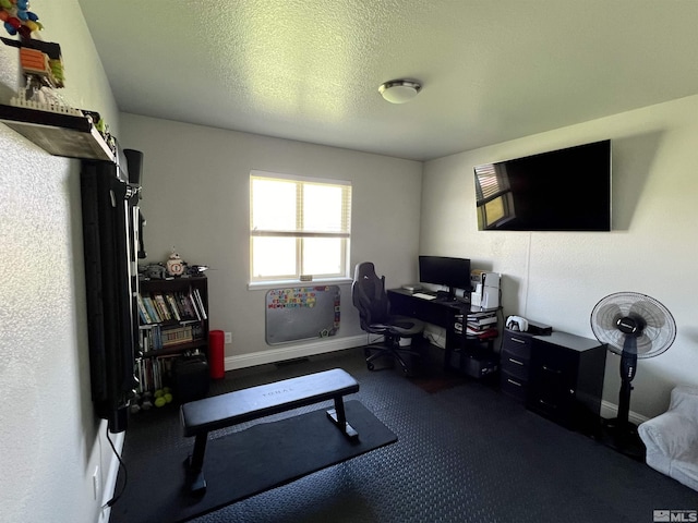 310 N Mountain View St, Yerington, NV 89447 - office area with carpet floors and baseboards