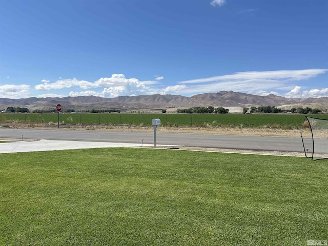 310 N Mountain View St, Yerington, NV 89447 - view of mountain backdrop with rural landscape