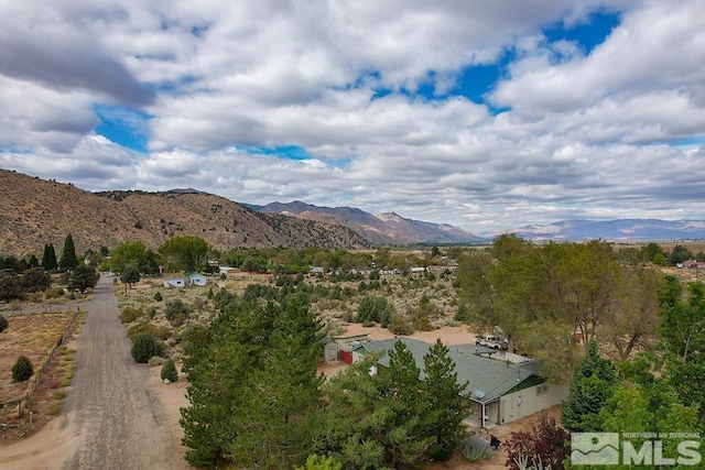 215 Mule Deer Rd, Coleville, CA 96107 - photo 21