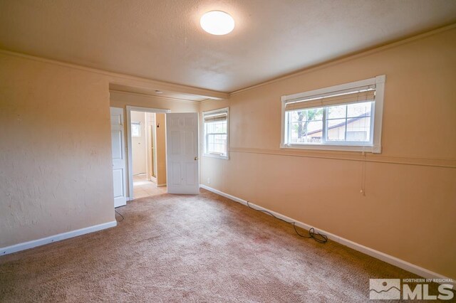 215 Mule Deer Rd, Coleville, CA 96107 - photo 35