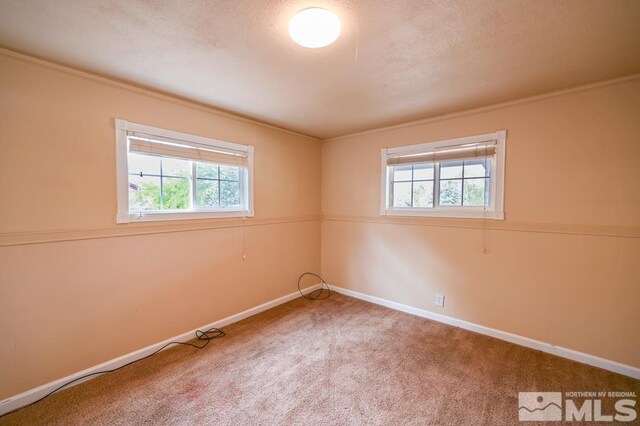 215 Mule Deer Rd, Coleville, CA 96107 - photo 36