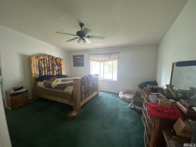 451 Manley Ranch Rd, Round Mountain, NV 89045 - photo 16