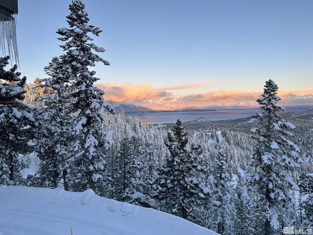 780 N Bowl Unit A & B, Stateline, NV 89449