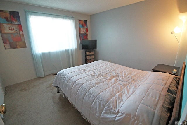 27 Amanda Cir, Sparks, NV 89436 - view of carpeted bedroom