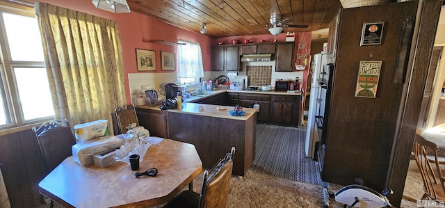 316 Toiyabe Rd, Kingston, NV 89310 - kitchen with wood ceiling, carpet, ceiling fan, a peninsula, and light countertops
