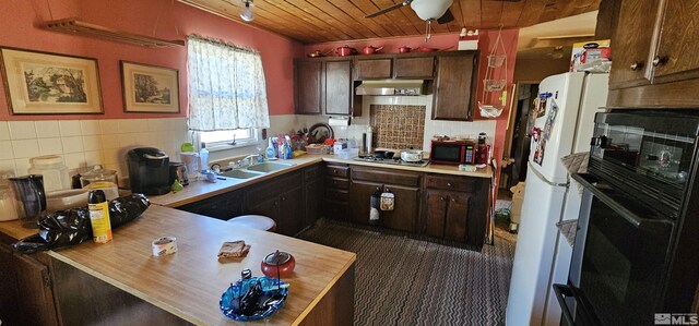 316 Toiyabe Rd, Kingston, NV 89310 - kitchen with a sink, under cabinet range hood, black oven, wood ceiling, and ceiling fan
