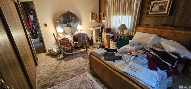 316 Toiyabe Rd, Kingston, NV 89310 - bedroom featuring carpet and a sink