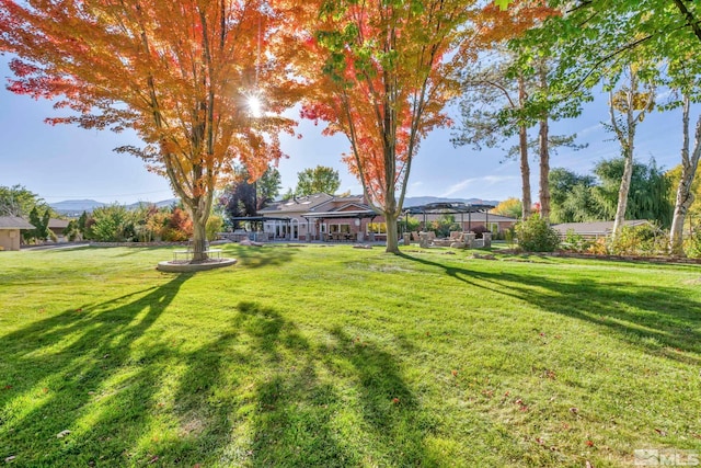 1865 Olive Ln, Reno, NV 89511 - view of grassy yard