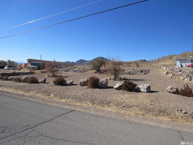203 Willie Way, Dayton, NV 89403 - photo 33