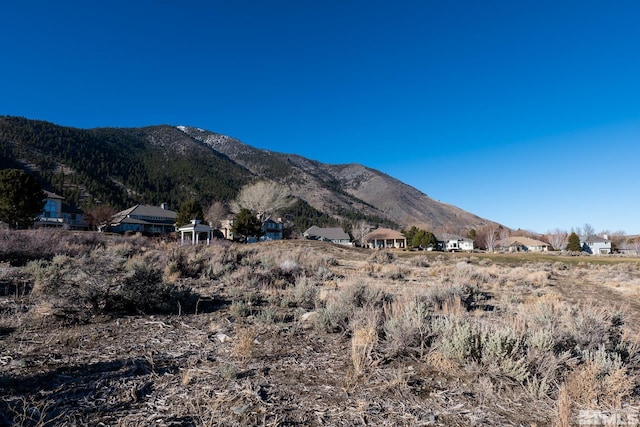 2456 Genoa Meadows Cir, Genoa, NV 89411 - photo 20