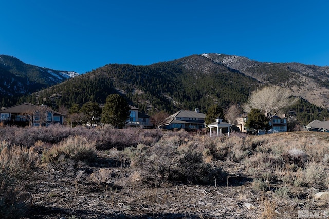 2456 Genoa Meadows Cir, Genoa, NV 89411 - photo 23