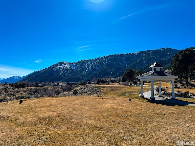 2456 Genoa Meadows Cir, Genoa, NV 89411 - photo 24
