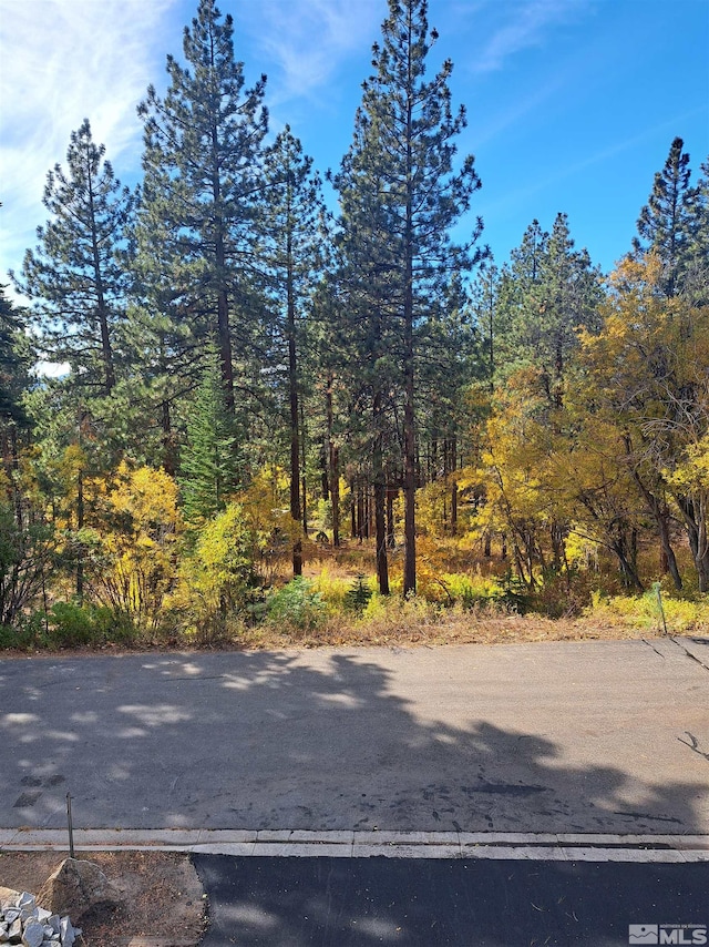 183 Kingsbury Cir, Stateline, NV 89449