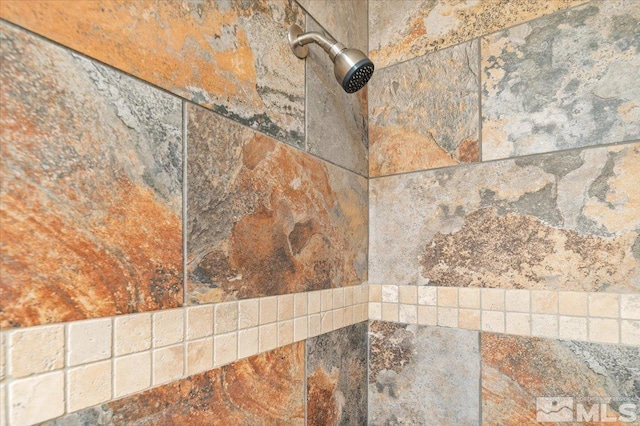 630 Teel St, Sparks, NV 89431 - bathroom view of tiled shower