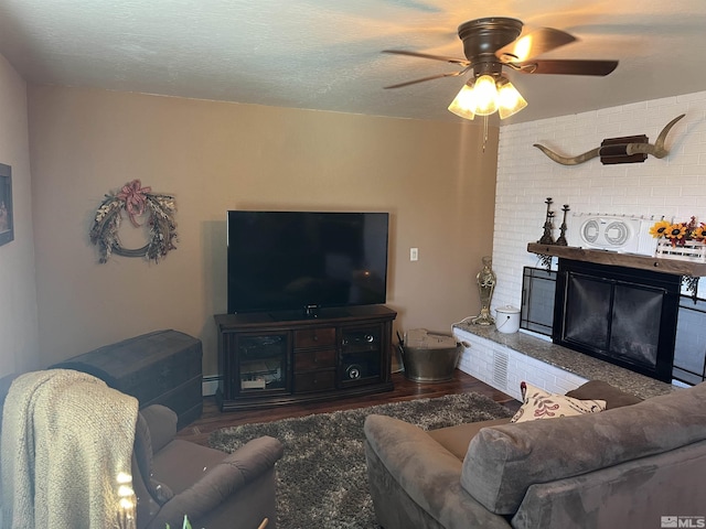 3205 Saint Clair Rd, Fallon, NV 89406 - living room with wood finished floors, ceiling fan, and baseboard heating