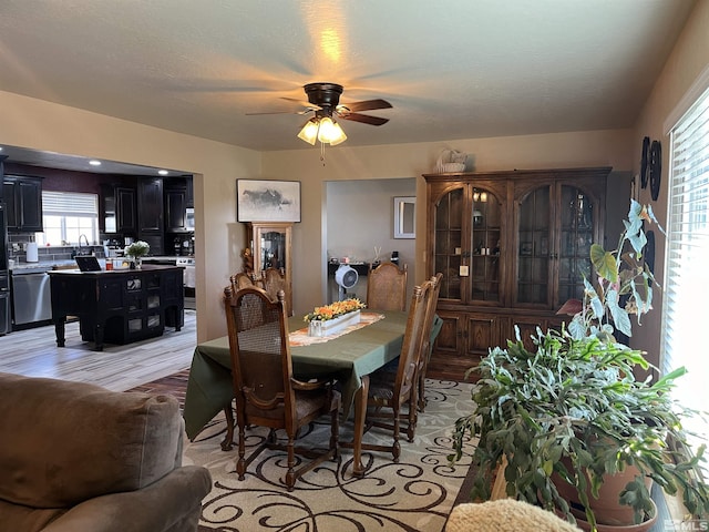 3205 Saint Clair Rd, Fallon, NV 89406 - dining space featuring light wood-style floors, healthy amount of natural light, and ceiling fan