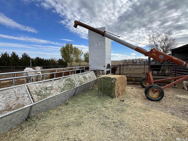 3205 Saint Clair Rd, Fallon, NV 89406 - view of yard