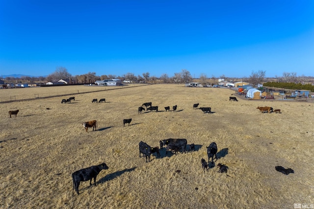3205 Saint Clair Rd, Fallon, NV 89406 - view of yard with a view of countryside