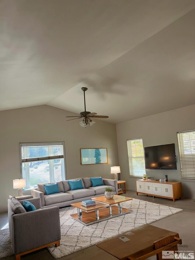 16 Colony Estate Dr, Smith Valley, NV 89444 - photo 10