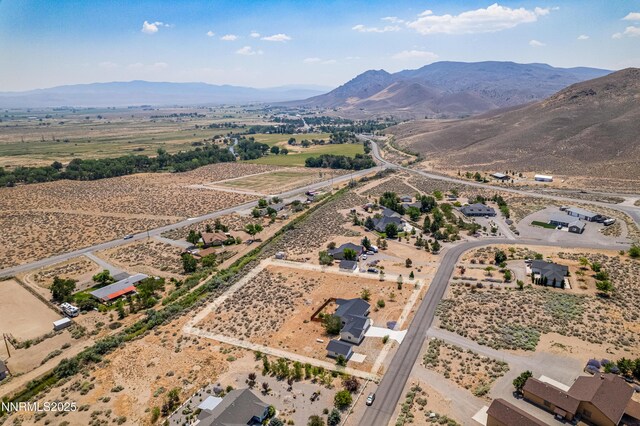 16 Colony Estate Dr, Smith Valley, NV 89444 - photo 26