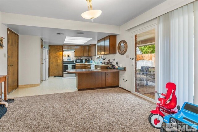 700 Ivy St, Carson City, NV 89703 - photo 14