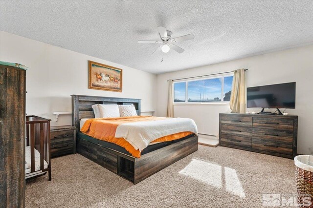 700 Ivy St, Carson City, NV 89703 - photo 19
