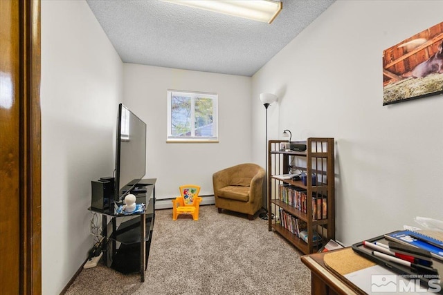 700 Ivy St, Carson City, NV 89703 - photo 24