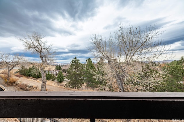 3061 Cashill Blvd, Reno, NV 89509 - view of yard