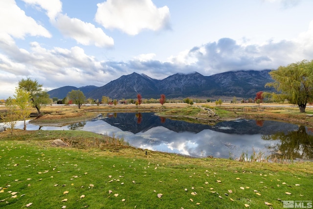 615 W Fork Vista Ln, Gardnerville, NV 89460 - photo 36